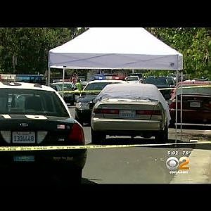 LAPD Investigating Whether 3 Murders In Valley Were Result Of Spree Killers - YouTube
