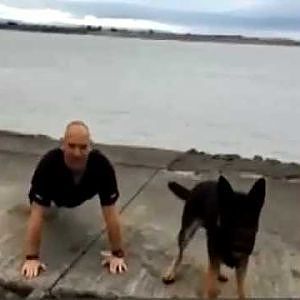 Police dog takes part in 22 push-ups challenge - YouTube