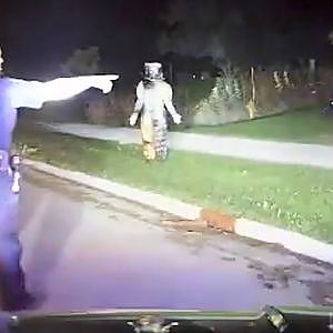 Creepy Clowns Arrest Caught On Police Dashcam - YouTube
