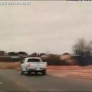 Police chase a cow through streets in Texas - YouTube