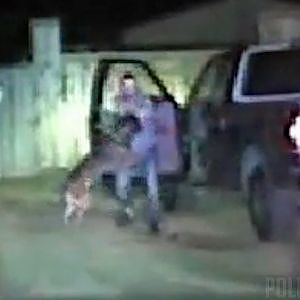 Dashcam Video Of K-9 Taking Down Man Pretending To Have Gun - YouTube