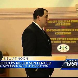 Man sentenced to prison for stabbing Pittsburgh K-9 Rocco - YouTube