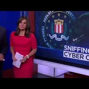 FBI's Newest K-9 Sniffs Out Digital Evidence - YouTube