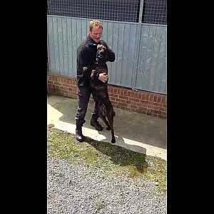 That moment when dogs and handler see each other for the first time in two weeks - YouTube