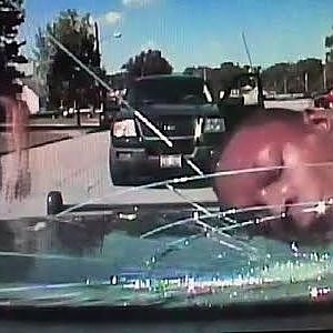 Ohioan: Police slammed head, cracking windshield - YouTube