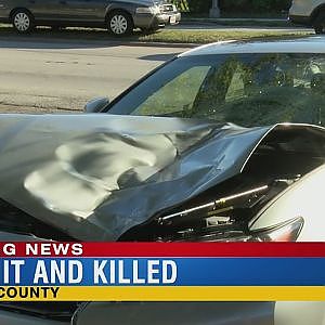 FHP: Teen hit, killed by car in Palmetto - YouTube